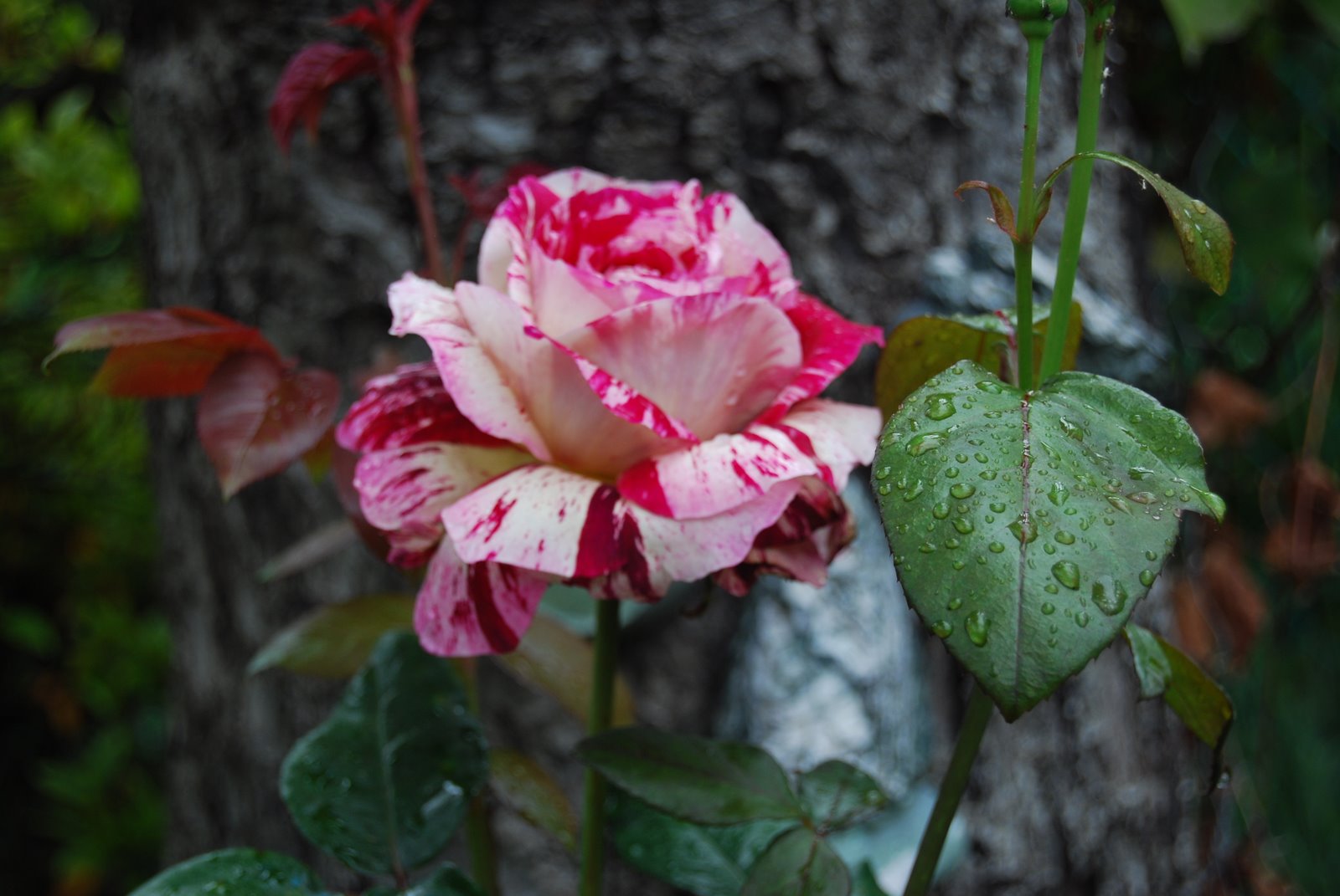 [DSC_0122.JPG]