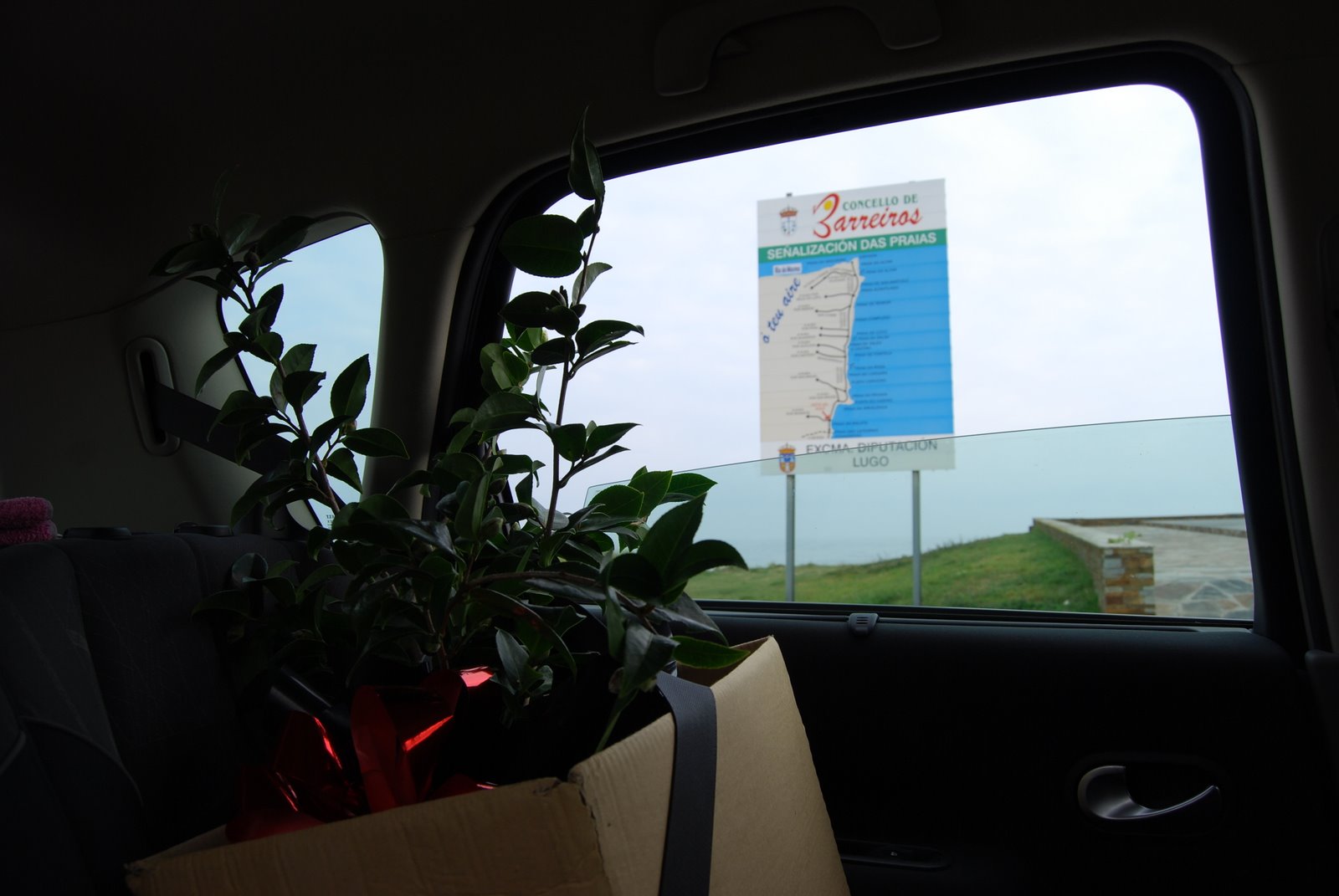 [DSC_0017.JPG]