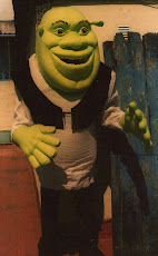 Disfraz Shrek