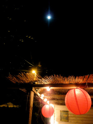 dinner party: January 2010