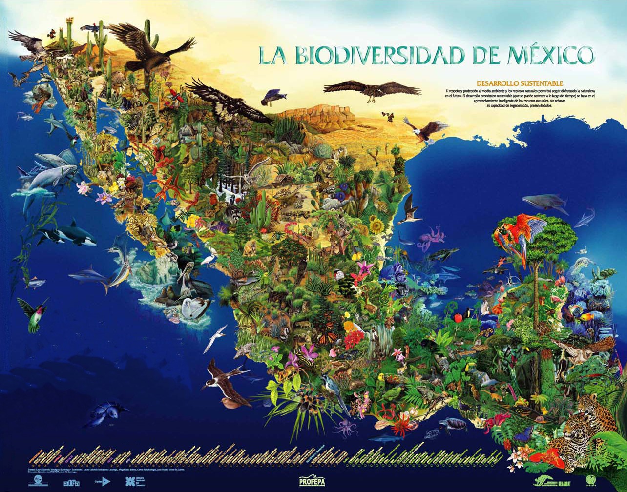 biodiversidad