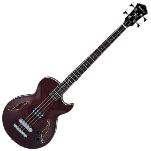 ibanez-agb140tbr-semi-hollow-transparent-brown-electric-bass-guitar.jpg