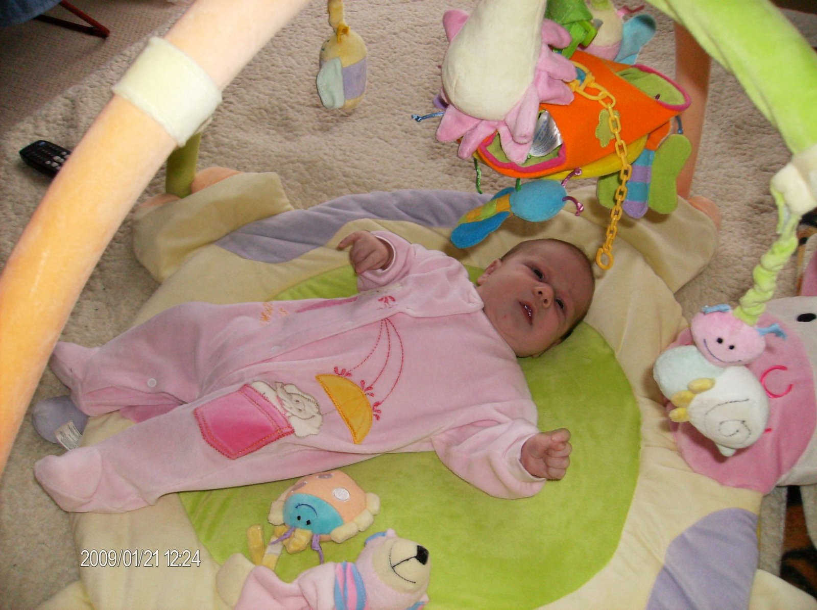 [hpis_124503562.jpg]