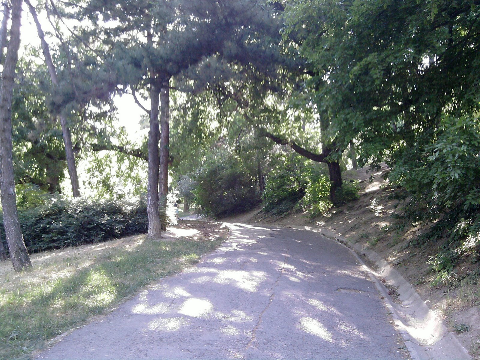 [P260509_16.44.jpg]