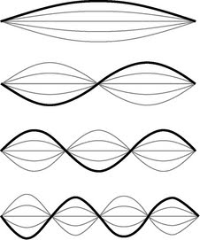 download Adhesion Molecules: Function