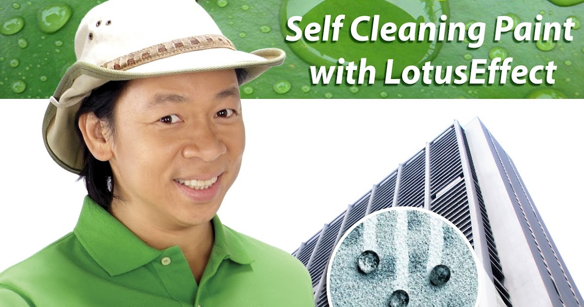 campbridgepaints FlexSeal PRO Self Cleaning Paint