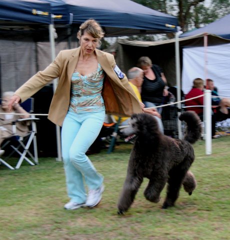 Negresca Smoke thru Moonlite