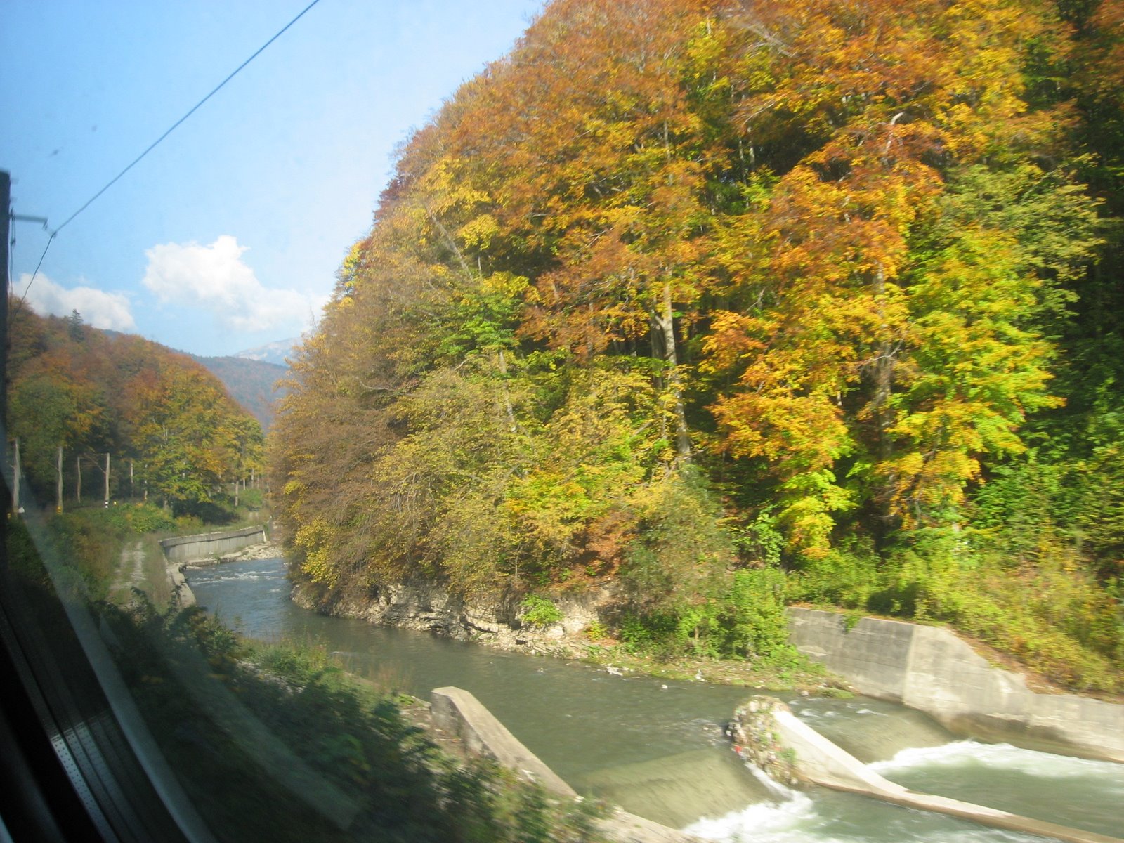 [IMG_4141.JPG]