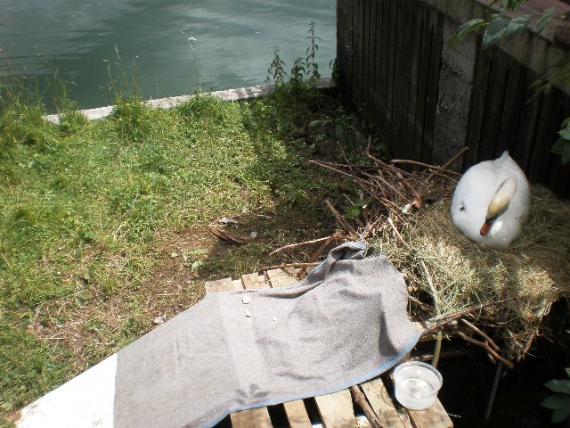 [P6270045.JPG]