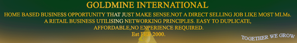 GOLDMINE INTERNATIONAL HOME BASED BUSINESS