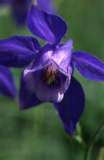Ma photo