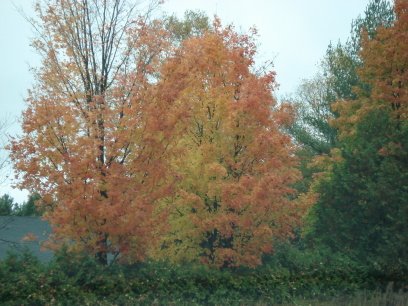 [04TrembMaur24.JPG]