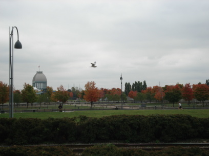 [03Montreal24.JPG]
