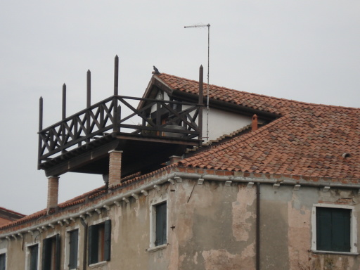 [DSC02331.JPG]