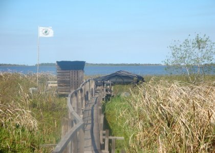 [DSC02303g.JPG]