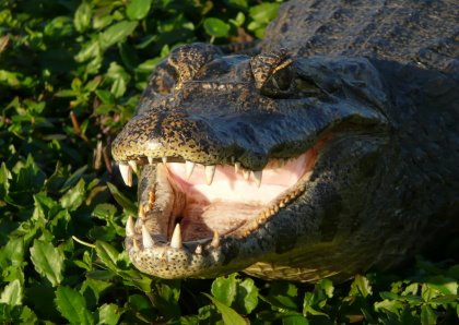 [DSC02373_P1040887.JPG]