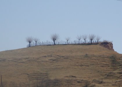 [DPSCamera____007.JPG]