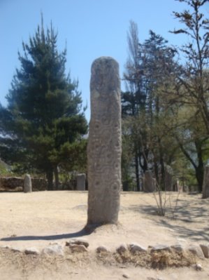 [DPSCamera____012.JPG]