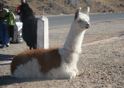 [DPSCamera____025.JPG]