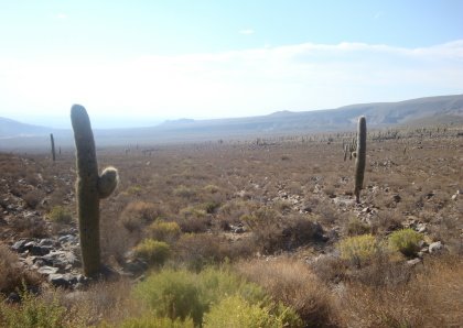 [DPSCamera____037.JPG]