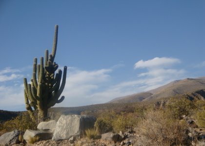 [DPSCamera____041.JPG]