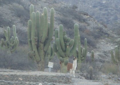 [DPSCamera____048.JPG]