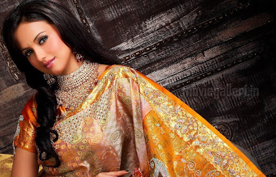 Actress Sana Khan in Saree