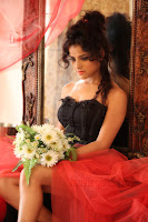 actress piaa bajpai hot photoshoot