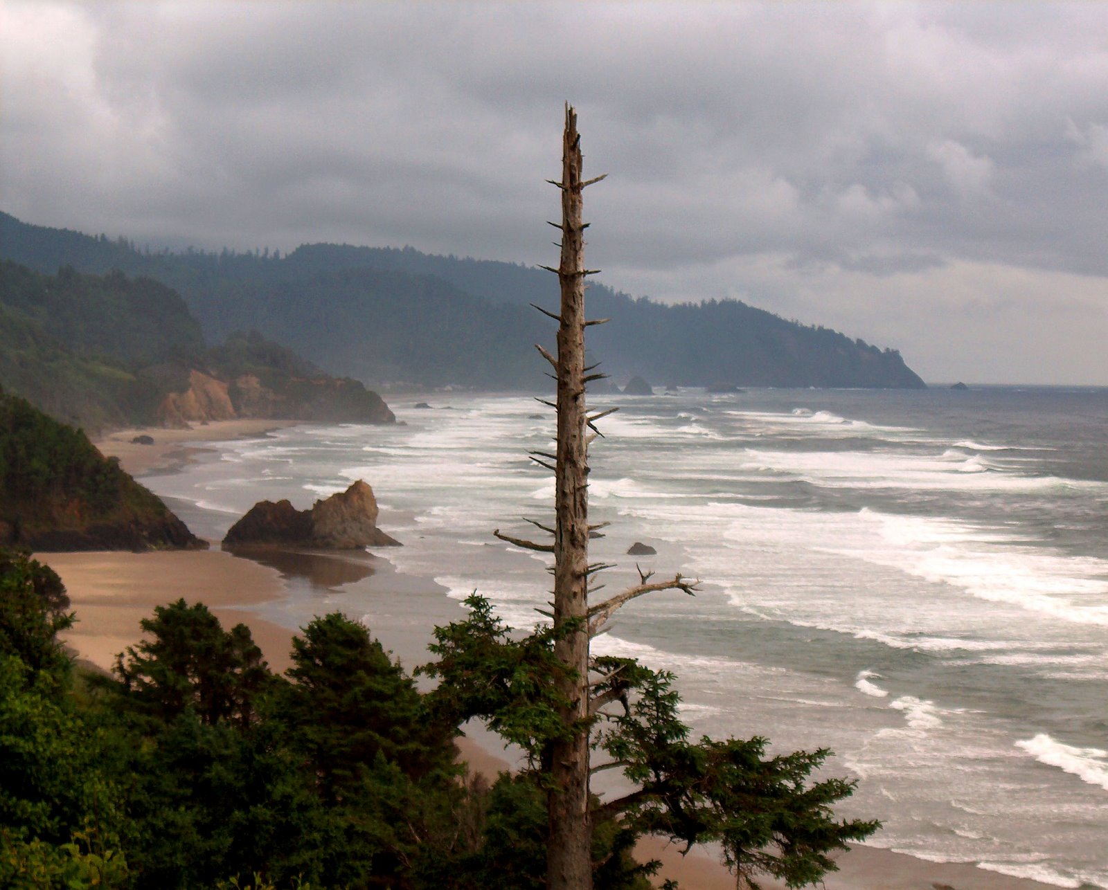 [06oregoncoast.JPG]