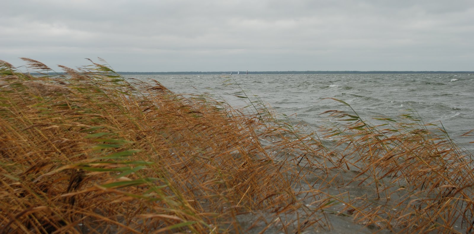 [DSC_3269.JPG]