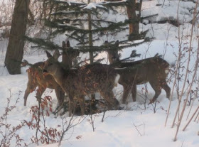 Pretty In Pink Pictures Mai 2013