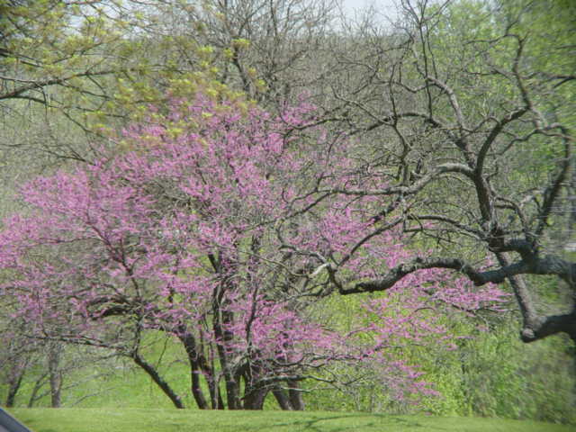 [DSC05993.JPG]