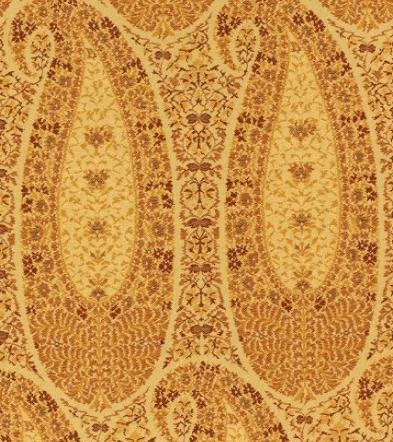 [schucachemire.jpeg]