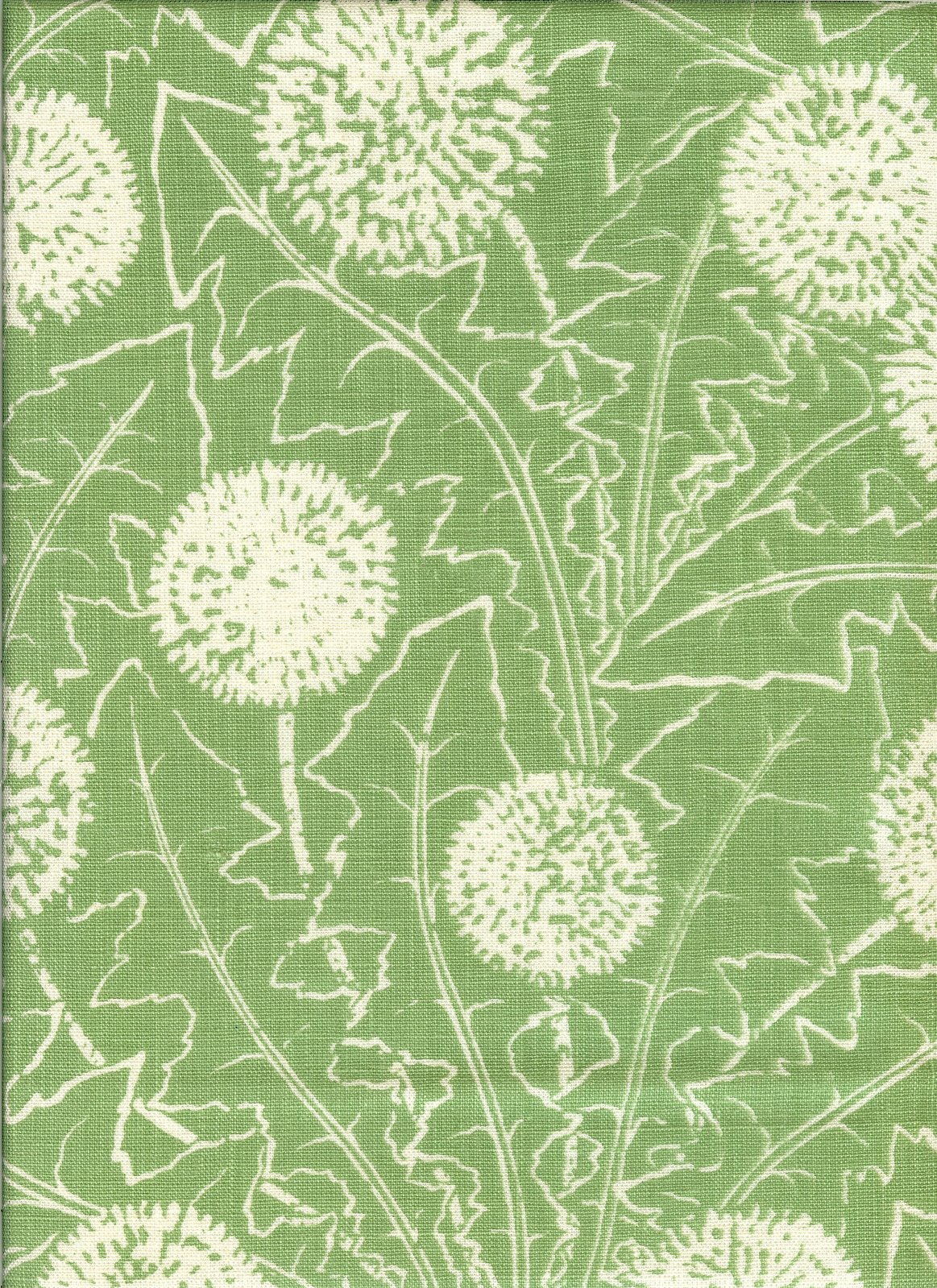 [irvingpalermo_apple.jpeg]