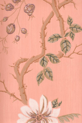 [cole-indiaflower.jpeg]