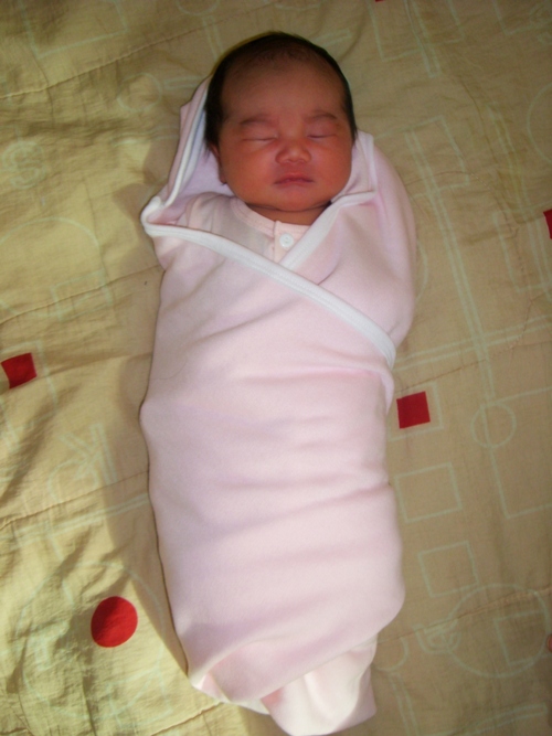 [SL703039.JPG]