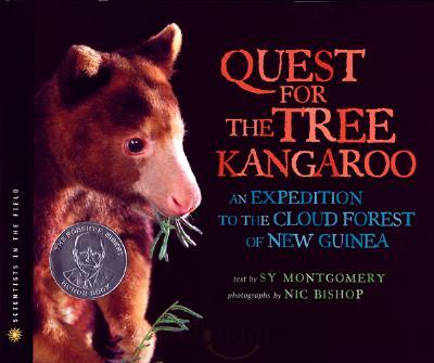 [treekangaroo.jpg]