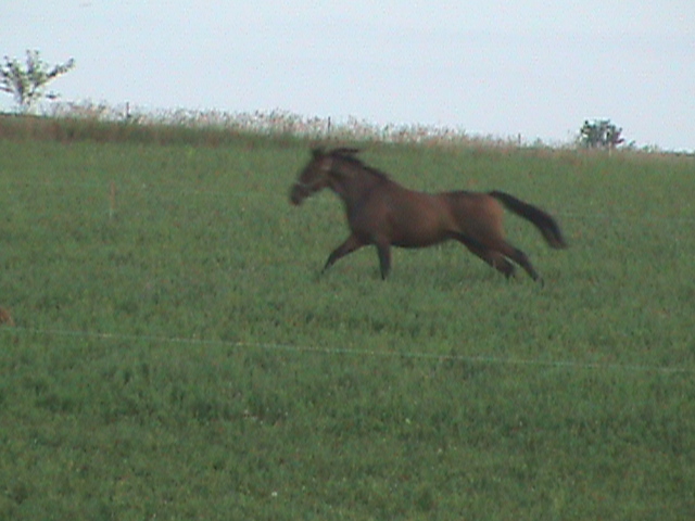 [DSC00146.JPG]