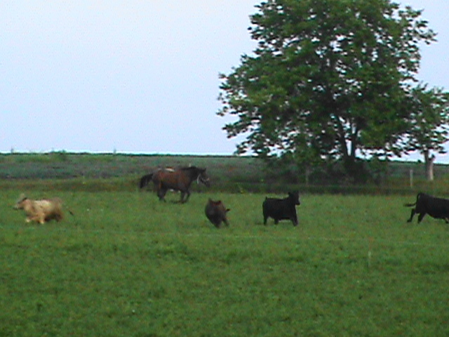 [DSC00149.JPG]