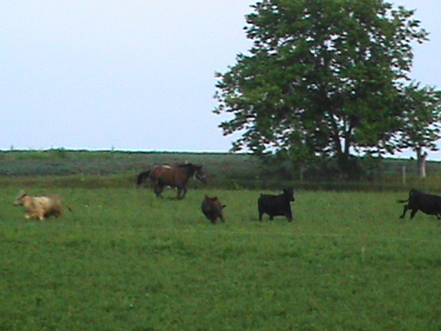 [DSC00149.JPG]