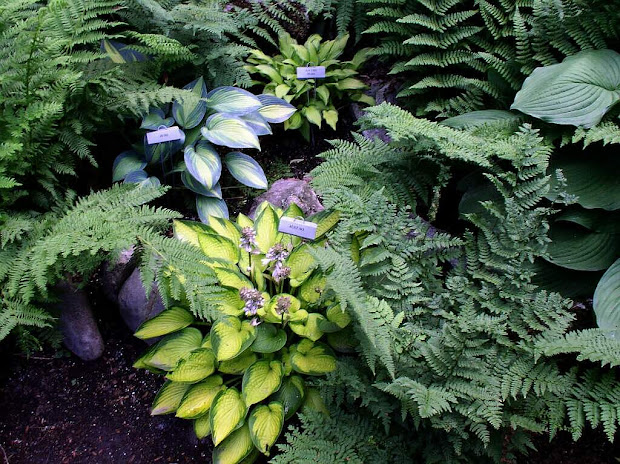 vermont gardener december