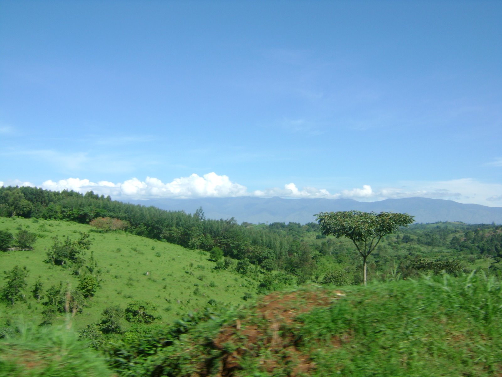 [Uganda_landscape_small.jpg]