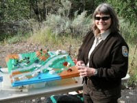 donna allard