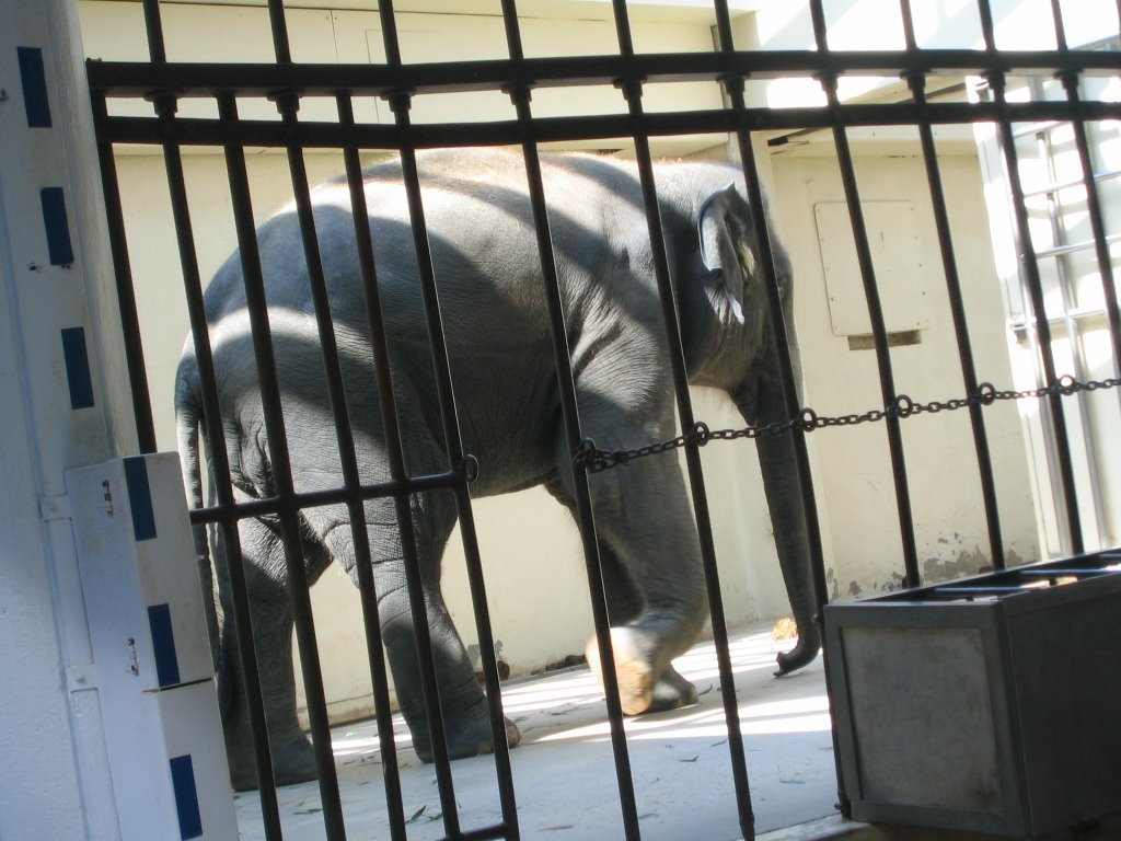 [griddle,+US+012.JPG]