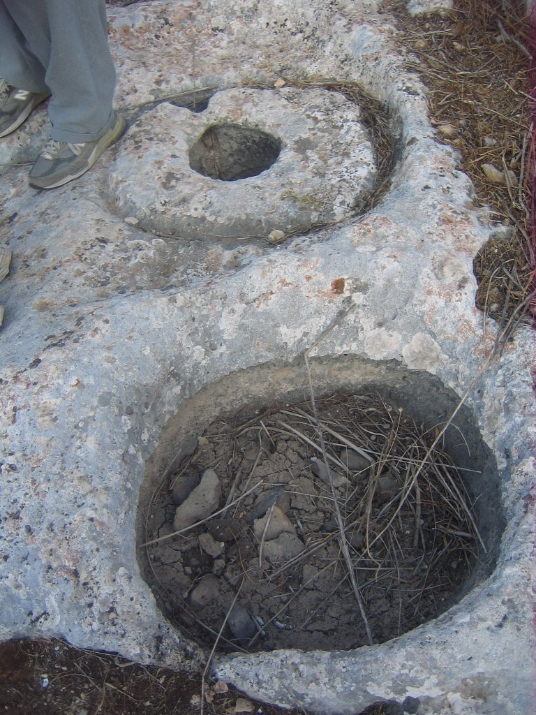 [nachal+shiloh+038.JPG]