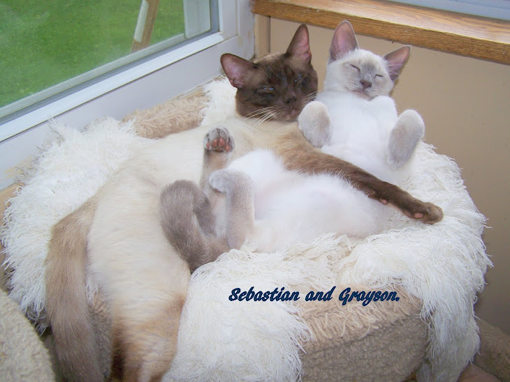 Two  of our sires . 2009