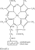 Szervetlen kémia – Klór (Inorganic Chemistry - Chlorine)