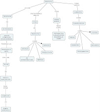 MAPA CONCEPTUAL DE PROYECTO