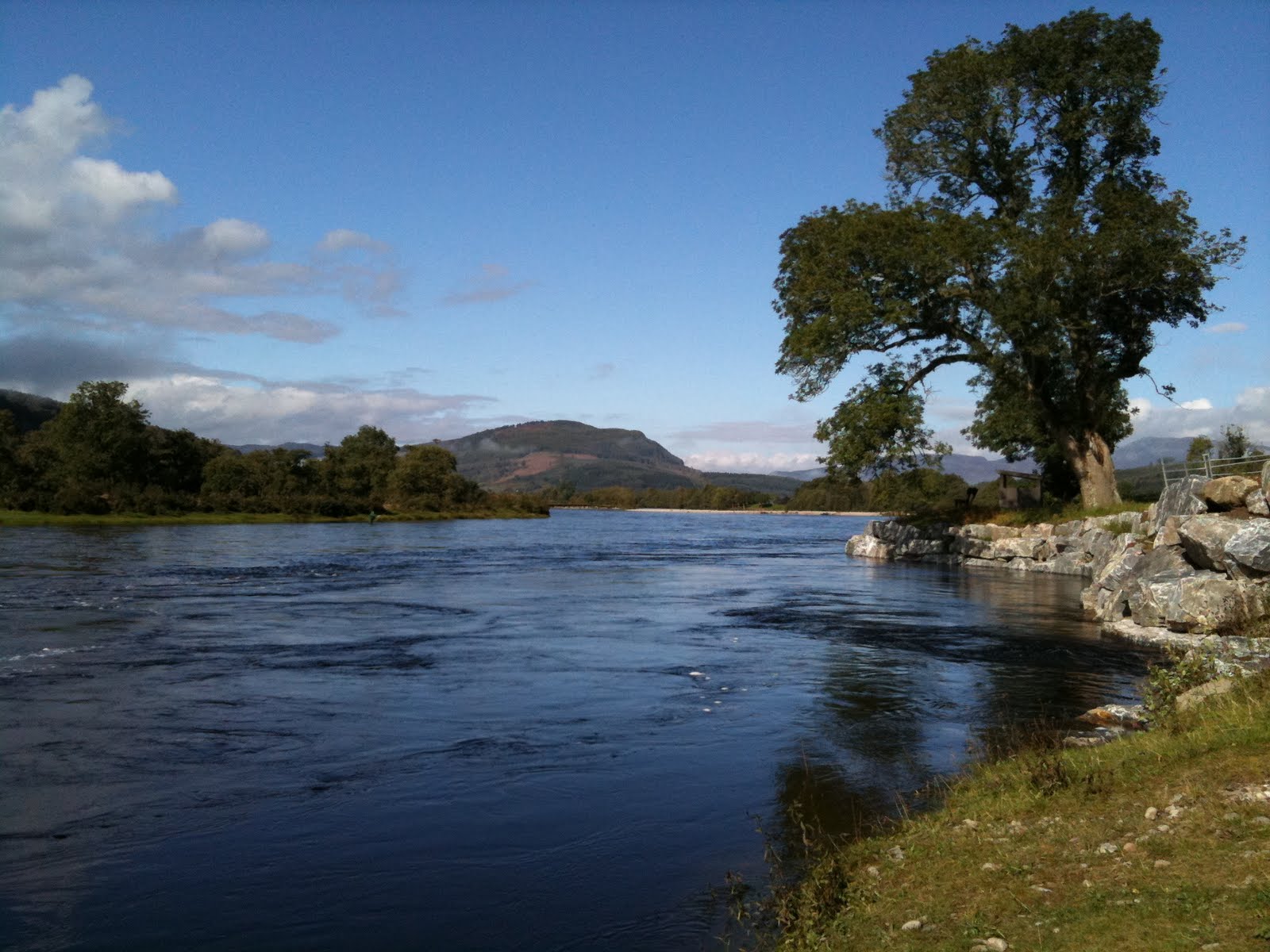 Speycasting Ash Trees Pool Lower Kinnaird River Tay