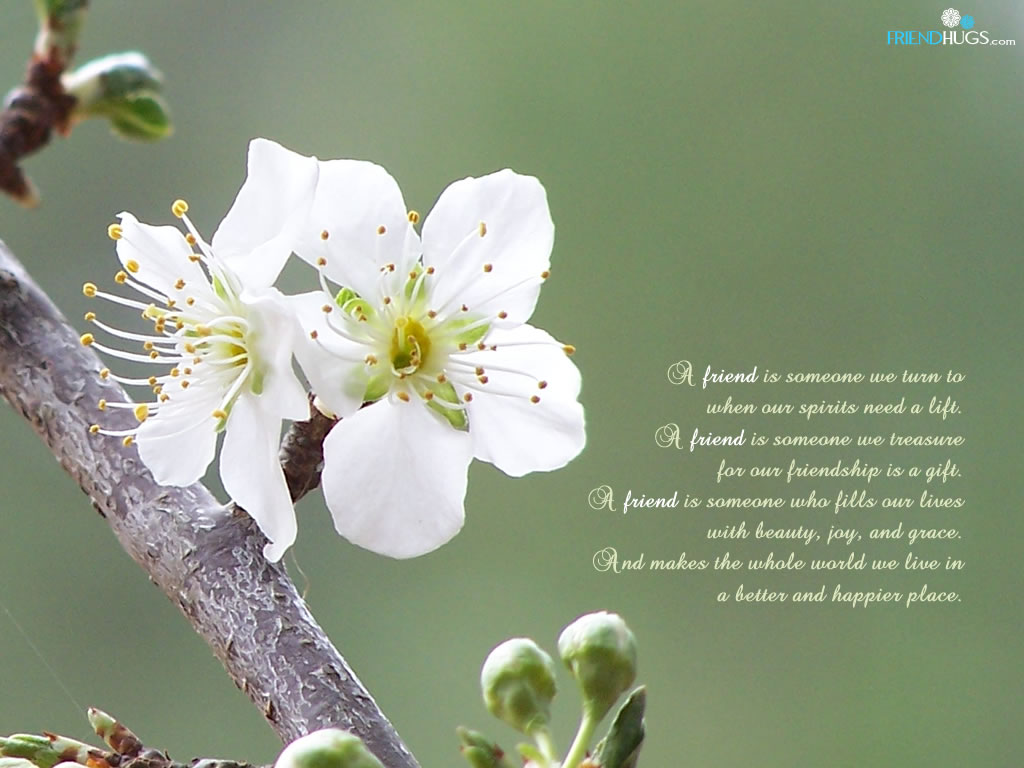http://1.bp.blogspot.com/_epXvCsXzZx8/S_0ar3y-lyI/AAAAAAAAAEg/AB37TN_D5xE/s1600/friendship-poem-wallpaper5.jpg